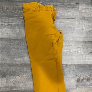 Women’s dress pant